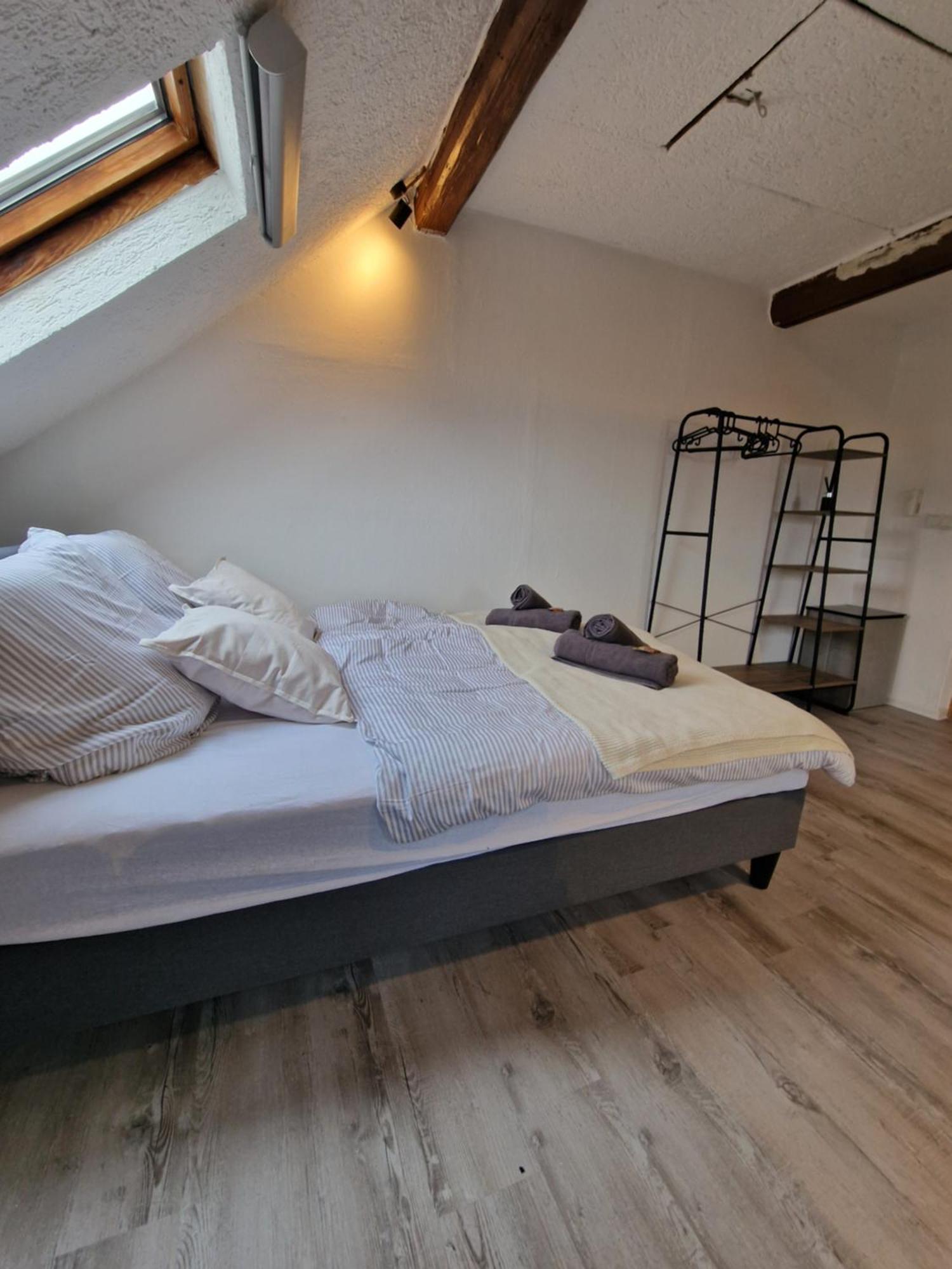 Appartement Haus Innenstadt Bleser Saarburg